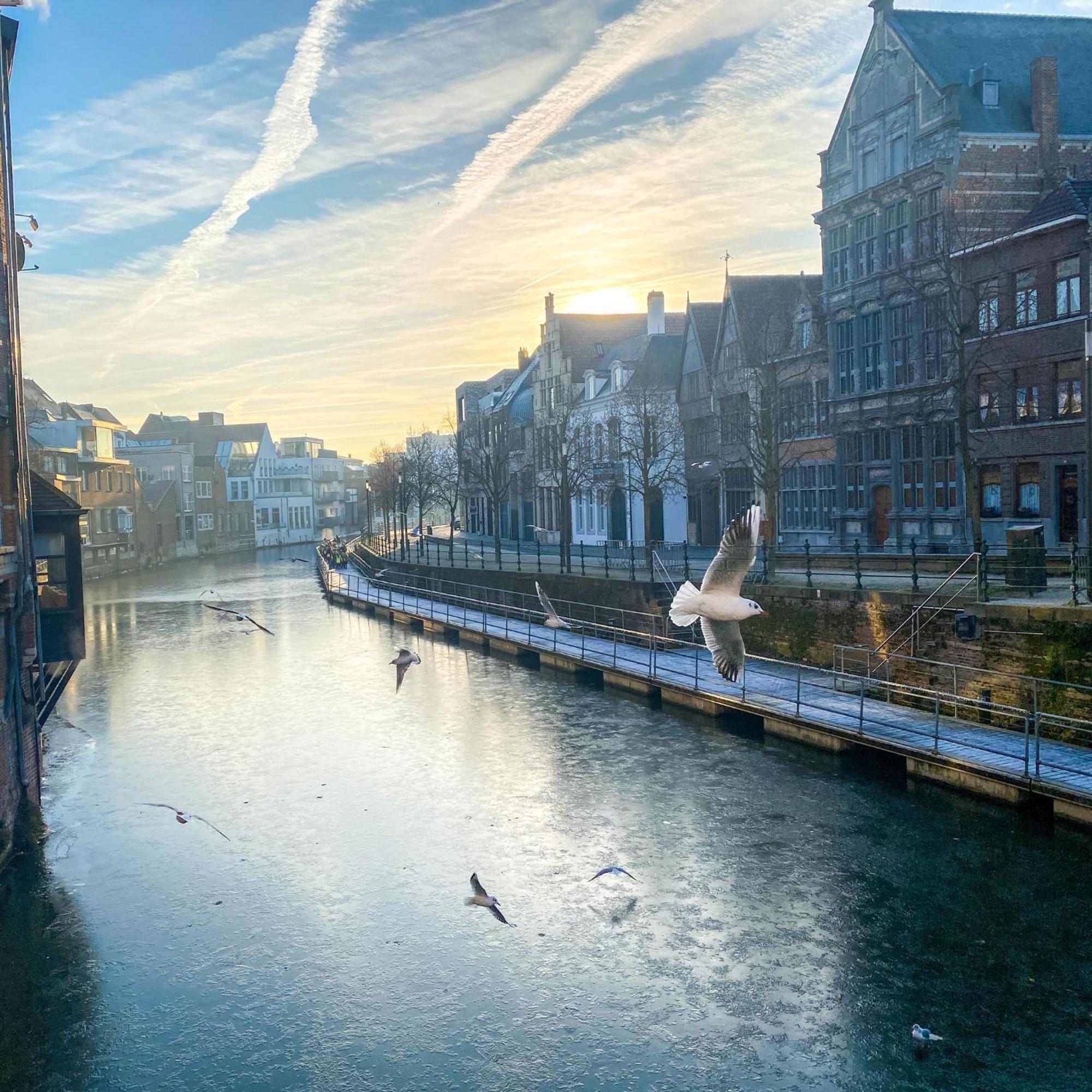 Huis Alna 2 Mechelen Eksteriør billede